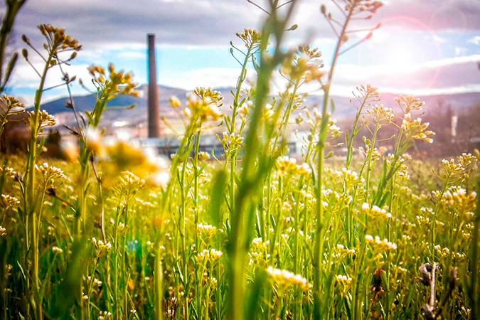 Production plant from afar